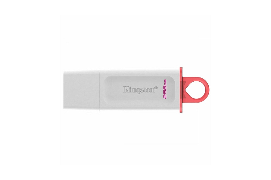 USB memorija 256GB Kingston DTX bijeli